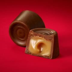 ROLO® Rich Chocolate Caramels Candy Share Pack, 9.5 oz